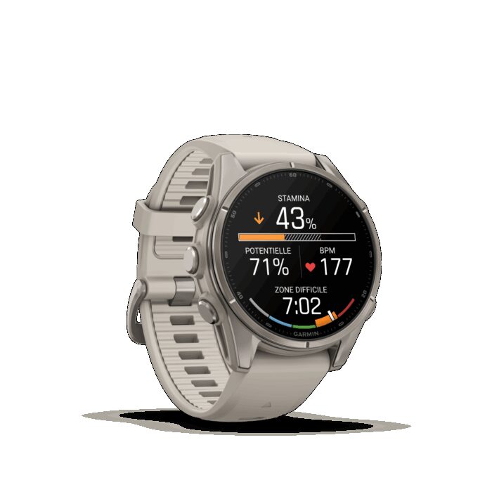 Montre Garmin Fenix 9 43 mm Titanium – Image 10